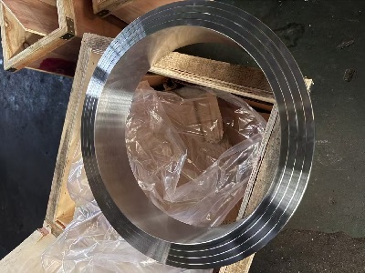 Incoloy 600 alloy flange